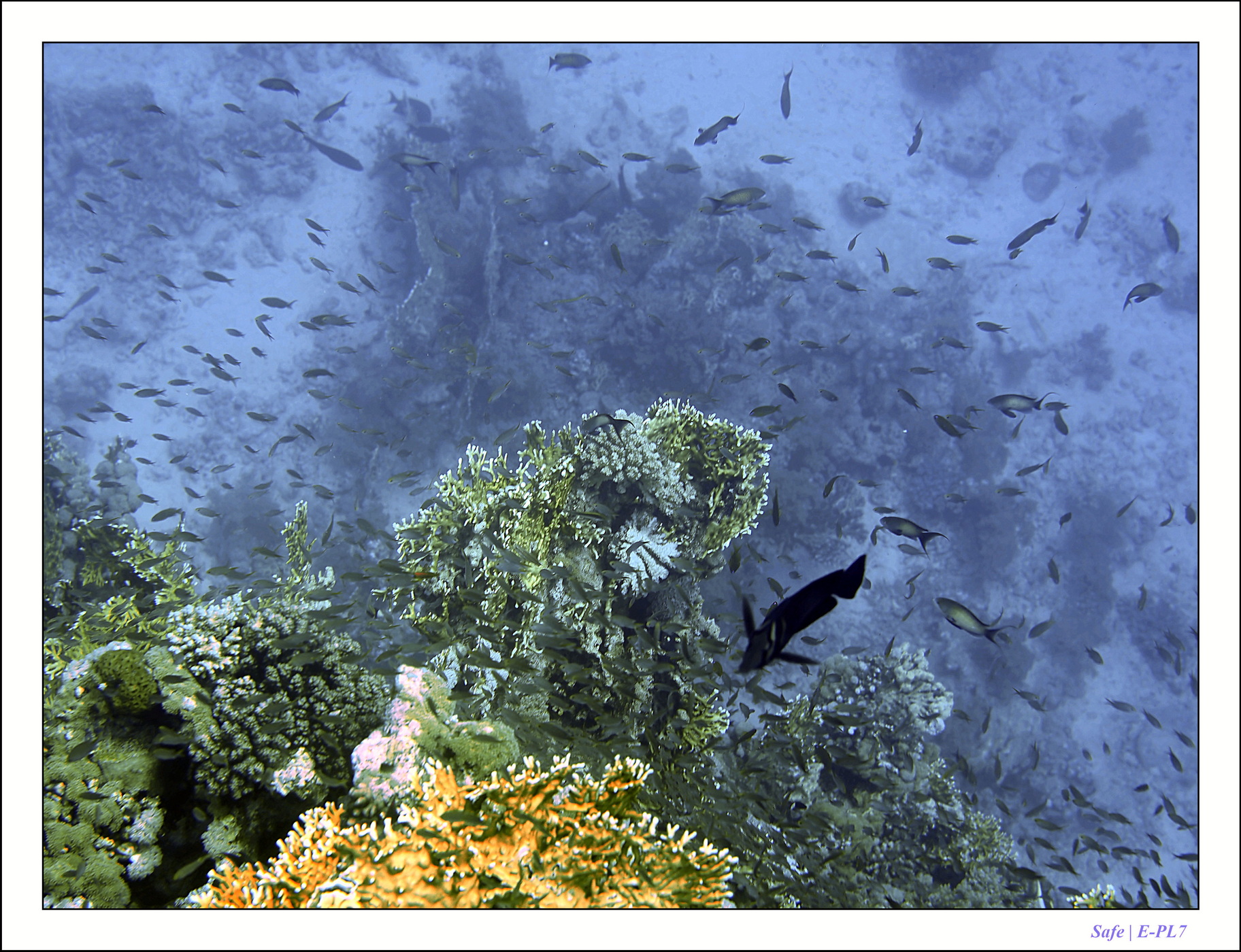 2023 - 03 - Charm El Sheikh - 24